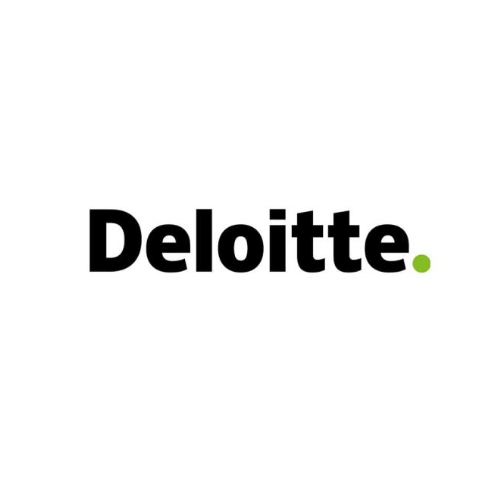 Roland Geiger Sprecher für Deloitte Erklärvideo